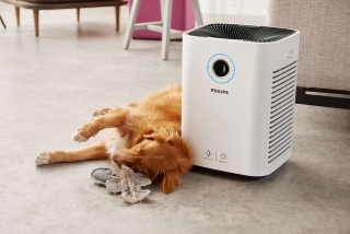 Aranżacja Philips AC5659/10