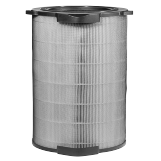 Filtr Electrolux EFDBRZ6