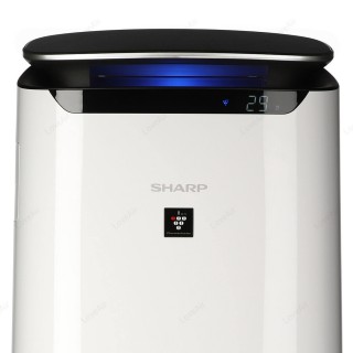 Sharp FP-J60EUW - zbliżenie na wyświetlacz