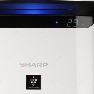 Sharp FP-J60EUW - zbliżenie na wyświetlacz