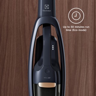 Electrolux WELL Q7-P WQ71-P50IB