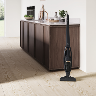 Electrolux Well Q6 WQ61-42GG