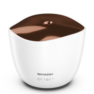 Sharp DF-A1E-W - widok front