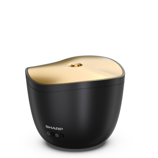 Sharp DF-A1E-B - widok bok