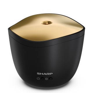 Sharp DF-A1E-B - widok front