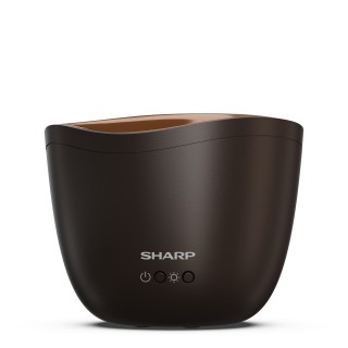 Sharp DF-A1E-T - widok przód