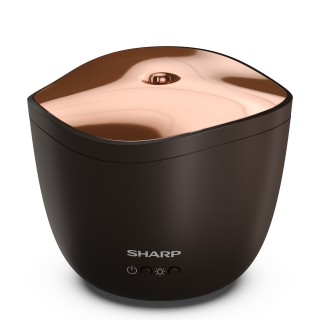Sharp DF-A1E-T - widok front