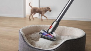 Dyson V8 Absolute - mała elektroszczotka