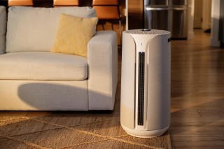 Blueair ComfortPure 3-in-1 T10i - aranżacja oczyszczacza