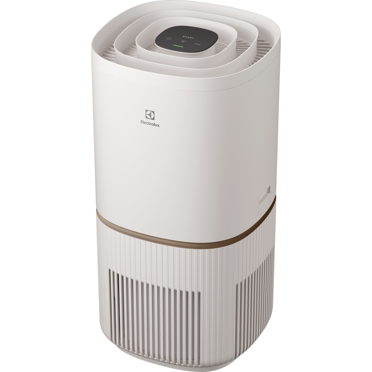 Electrolux Pure 500 XL
